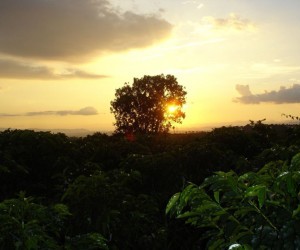 Atardecer en un paisaje cafetero. Fuente: Uff.TravelPropia